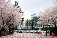 2016.04 병원 전경