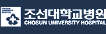 조선대학교병원